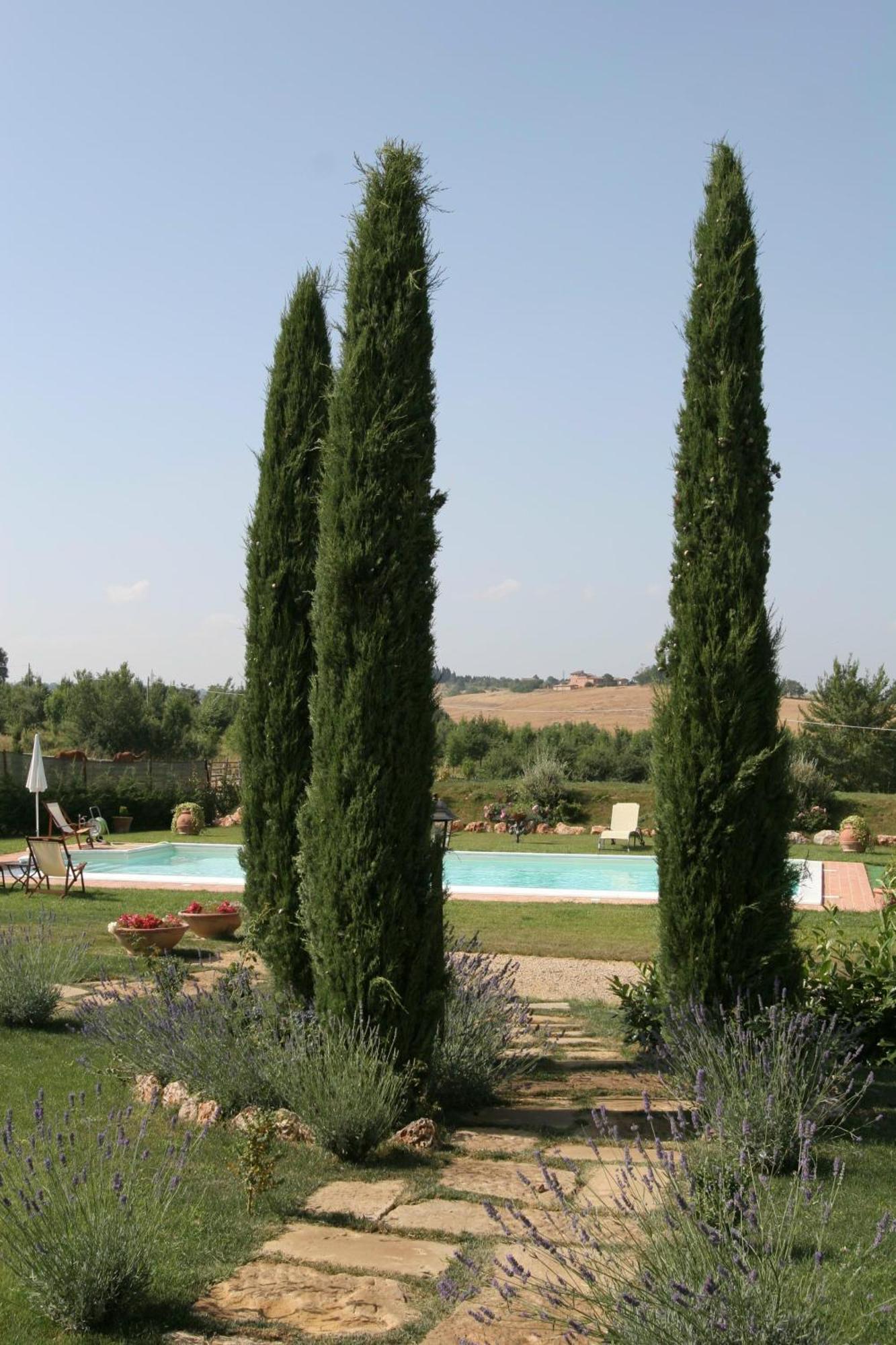 סיינה Agriturismo Renaccino מראה חיצוני תמונה